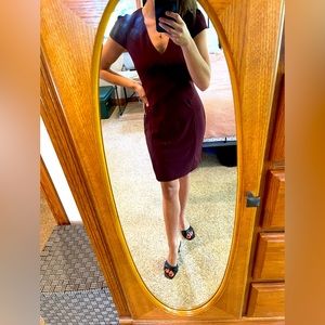 Express Violet Dress